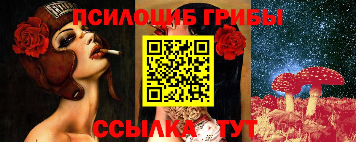 Кисловодск  Псилоцибиновые грибы Psilocybine cubensis  где продают наркотики  Вход с VPN 